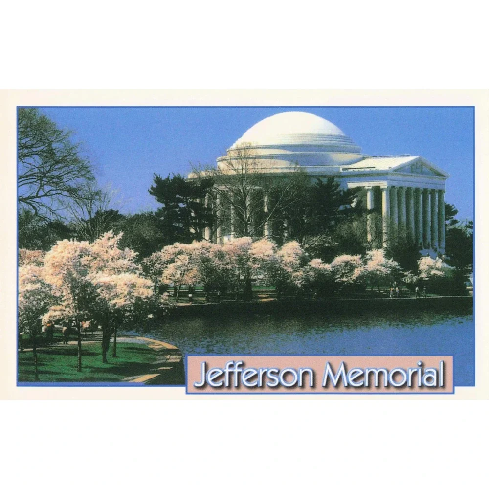 Jefferson Memorial Washington DC Cherry Blossoms Tidal Basin Postcard
